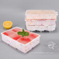 Large Square Ice Tray with Lid